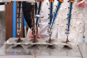 Amandine LAMRI - LAMRI