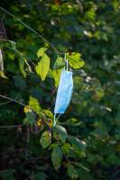 Amandine LAMRI - LAMRI